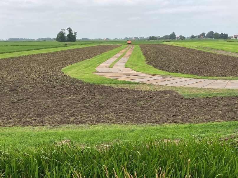 Foto: Bij een perceel van melkveehouder Steenbeek is de zode oppervlakkig gefreesd voordat de grondlaag wordt opgebracht. Hierdoor wordt de graslaag niet ‘ingekuild’ en kan het bodemleven straks goed enten met de op te brengen grondlaag.
